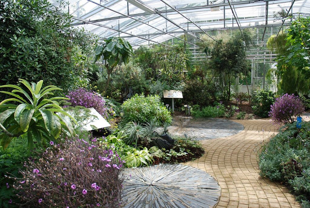 Conservatoire Botanique National