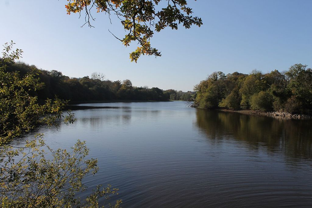 Lac de Bosméléac