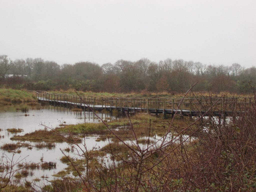 Centre Nature de la Réserve Naturelle des Marais de Séné