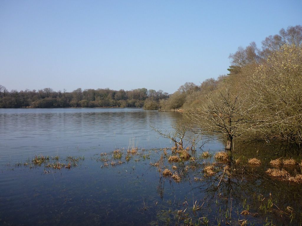 Etang et rigole du Boulet